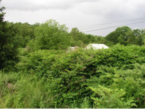 Tbd Gap Creek Road Elizabethton, TN 37643 - Photo 10 of 11 Road View