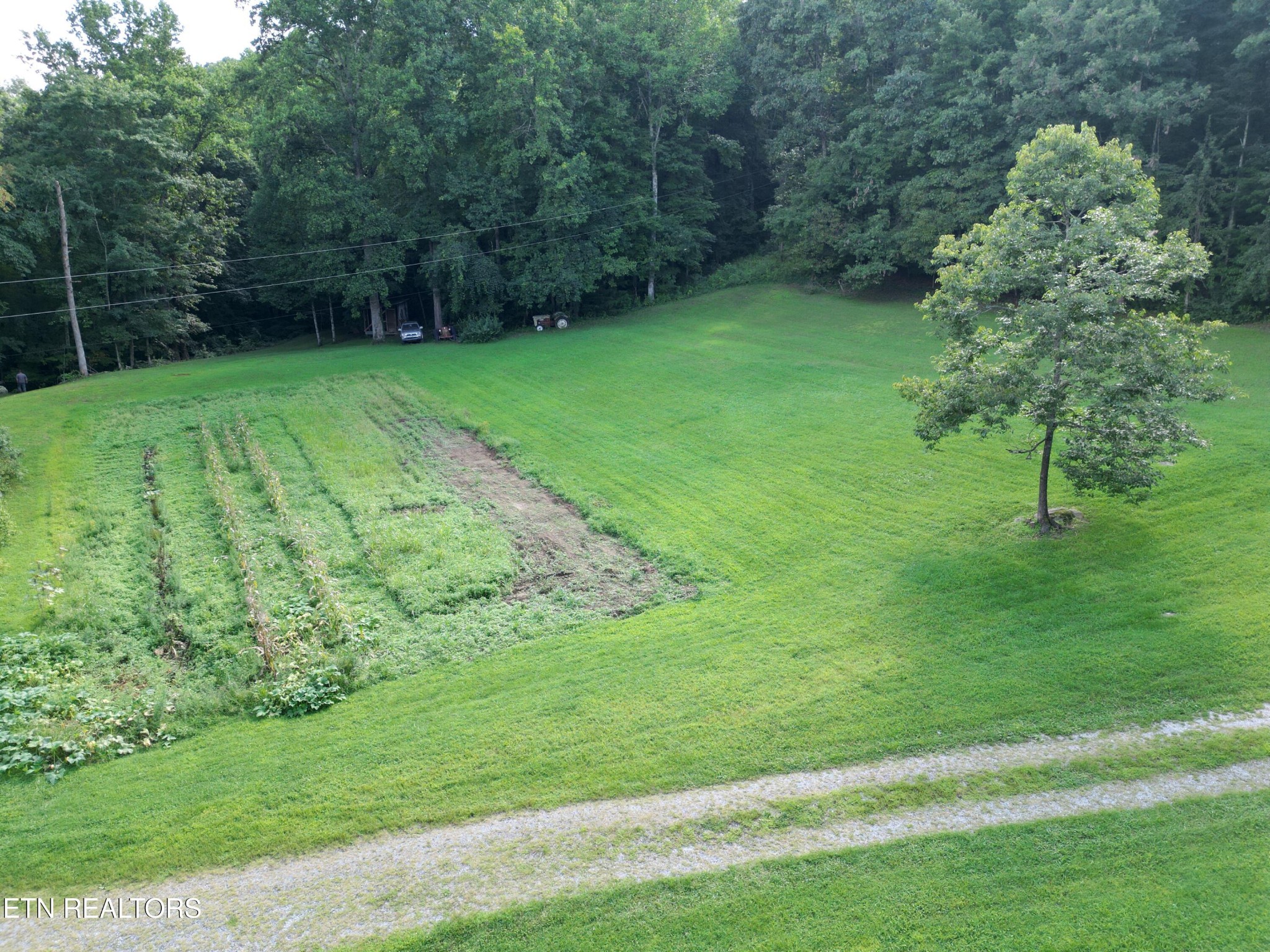 291 Evans Ridge Road Speedwell, TN 37870 - Photo 38 of 50 Gallery Image 38
