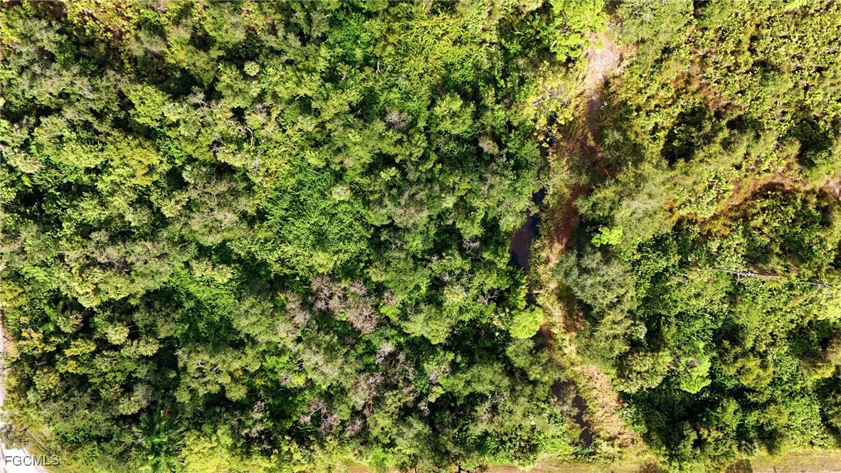 536 Evergreen Road North Fort Myers, FL 33903 - Photo 17 of 19 a view of a tree