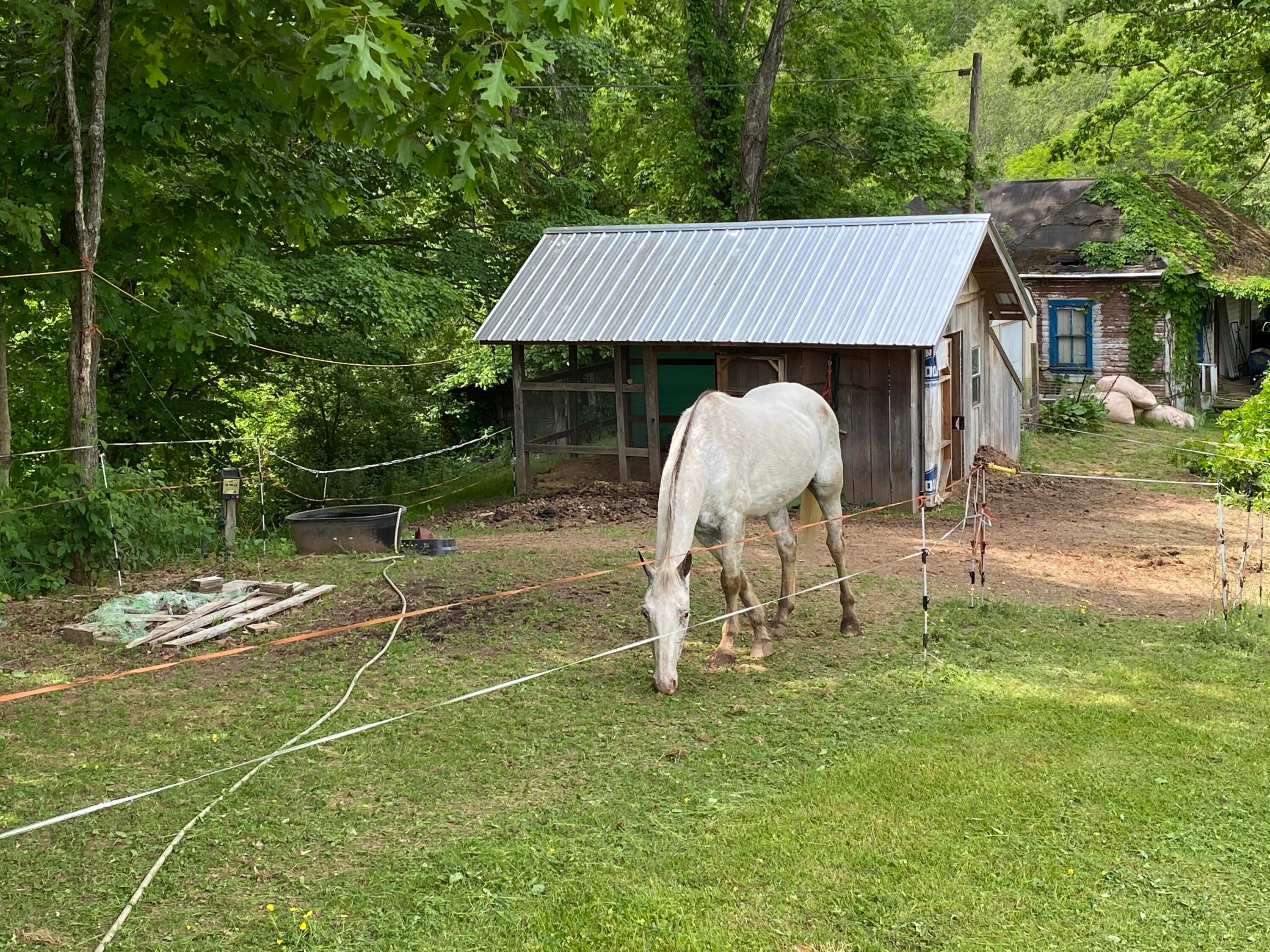 542 Slab Camp Road Renick, WV 24966 - Photo 48 of 65 Gallery Image 48