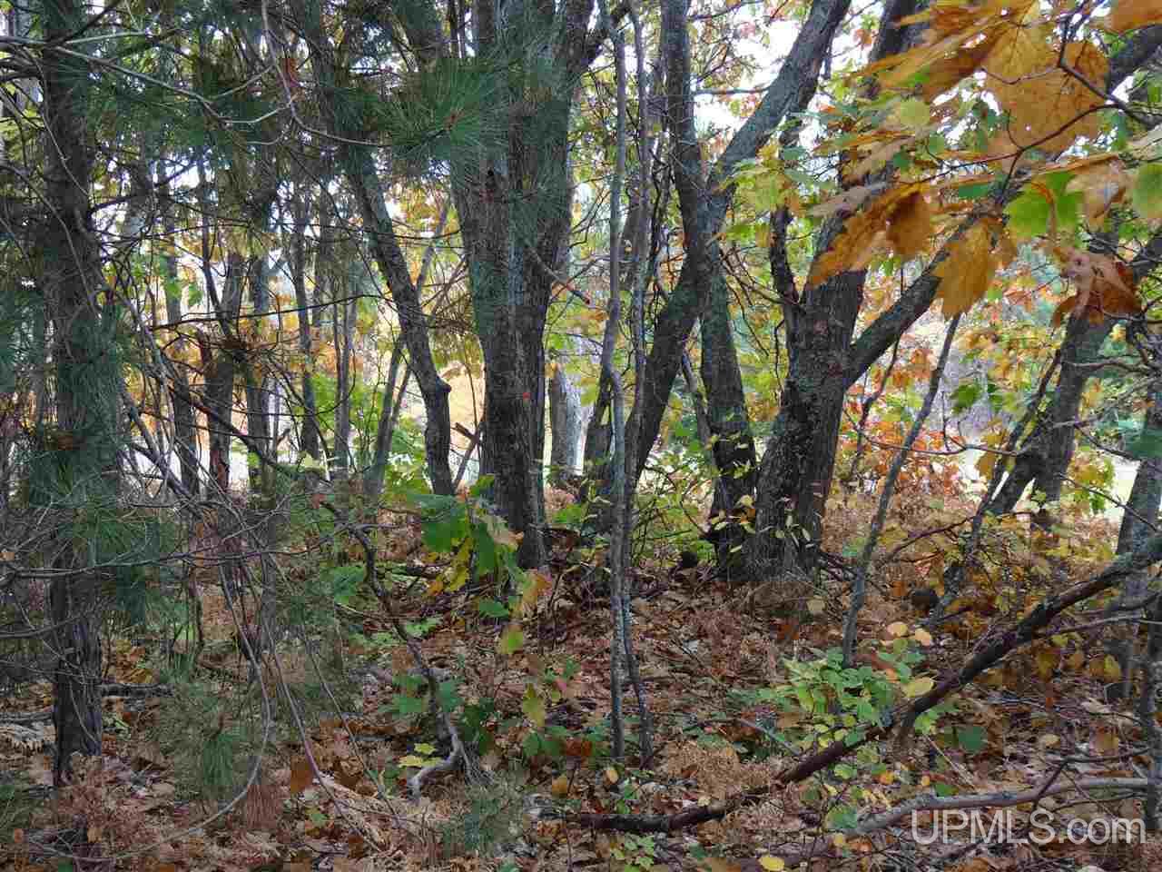 Tbd Traprock Valley Road Calumet, MI 49913 - Photo 13 of 17