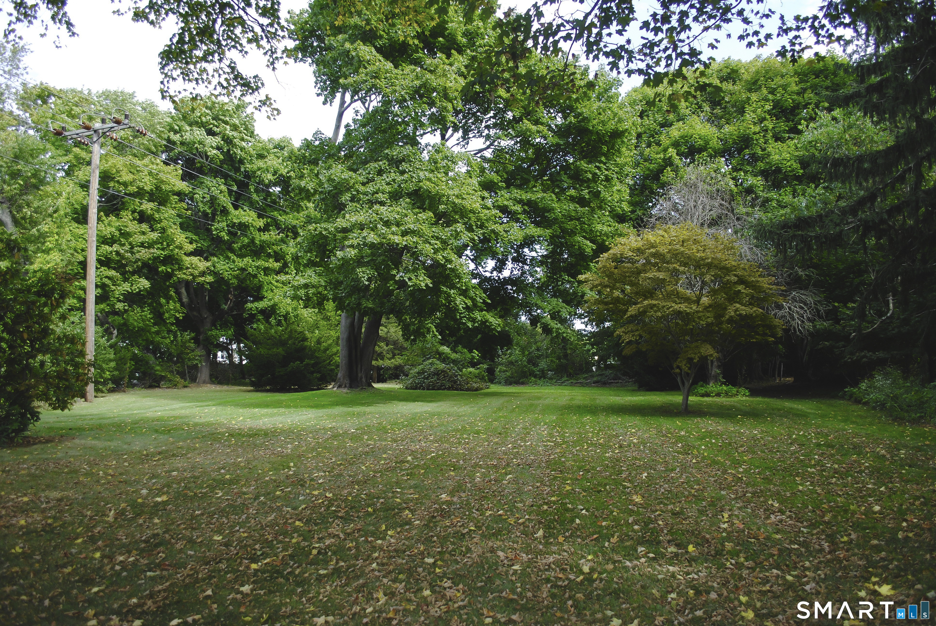 60 Grove Street, Unit B Clinton, CT 06413 - Photo 3 of 11 a view of a trees in a park