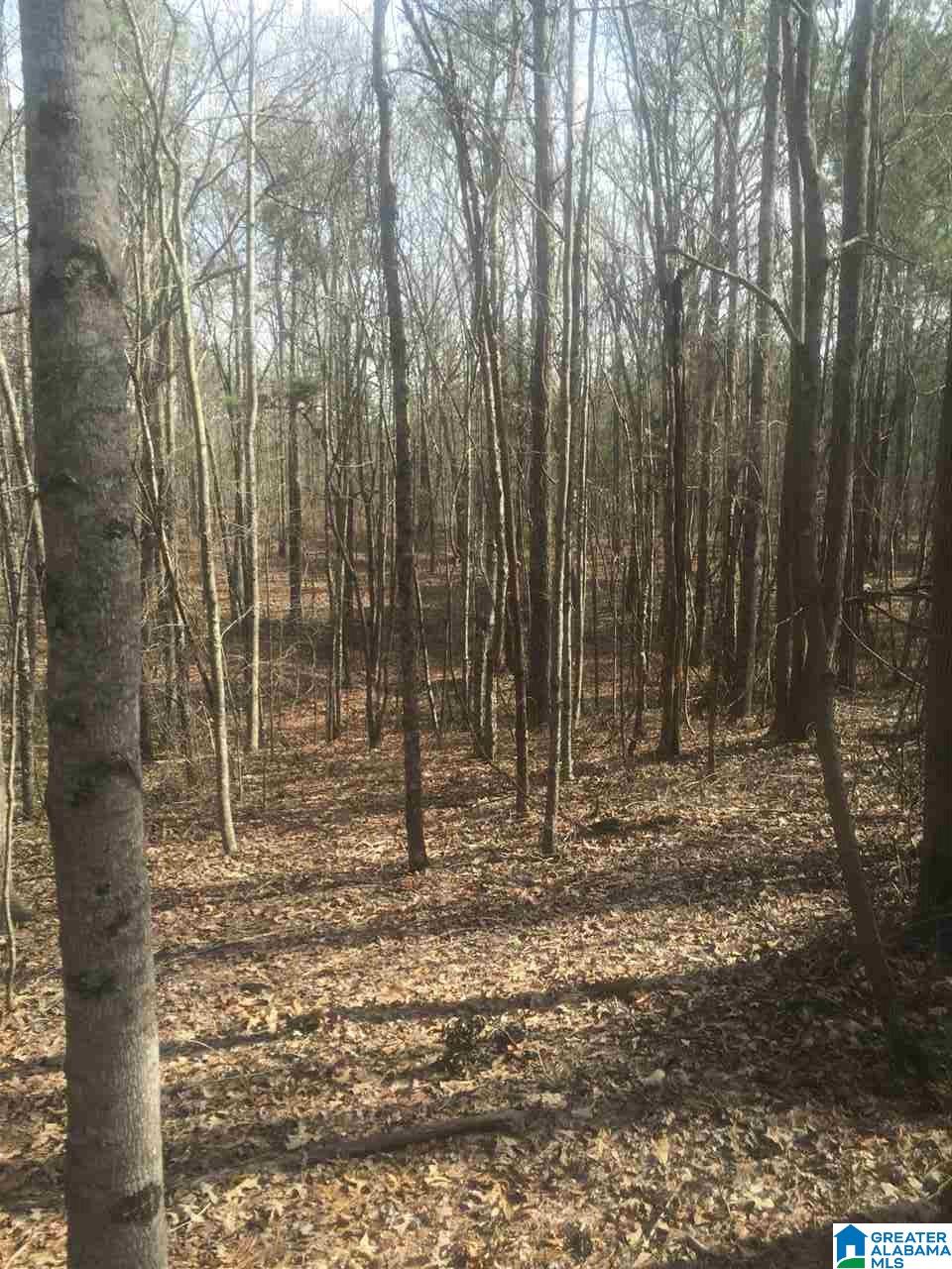 Eureka Road, Unit 1 Lincoln, AL 35096 - Photo 2 of 34