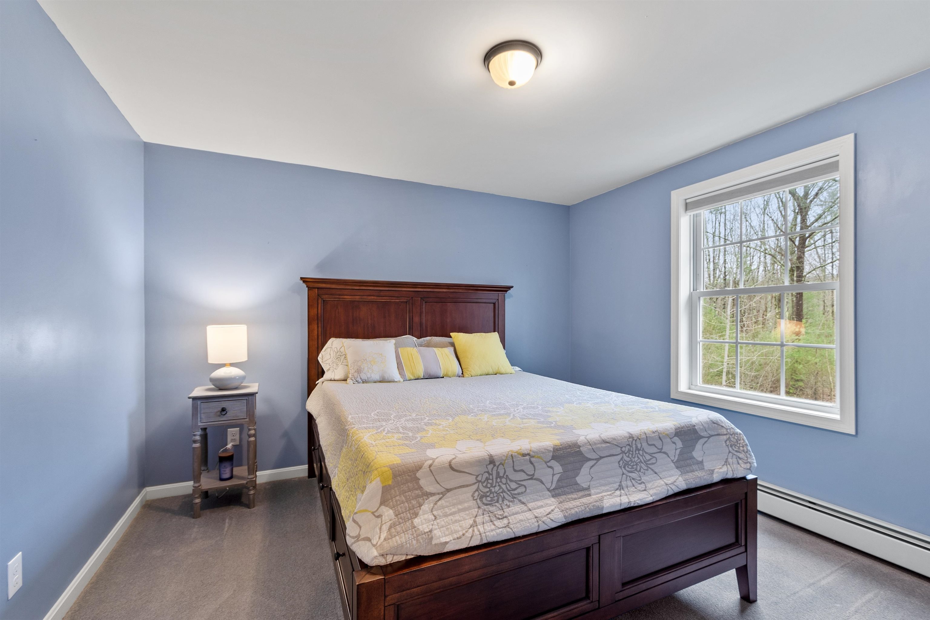 17 Higgins Road Chichester, NH 03258 - Photo 21 of 40 Gallery Image 21