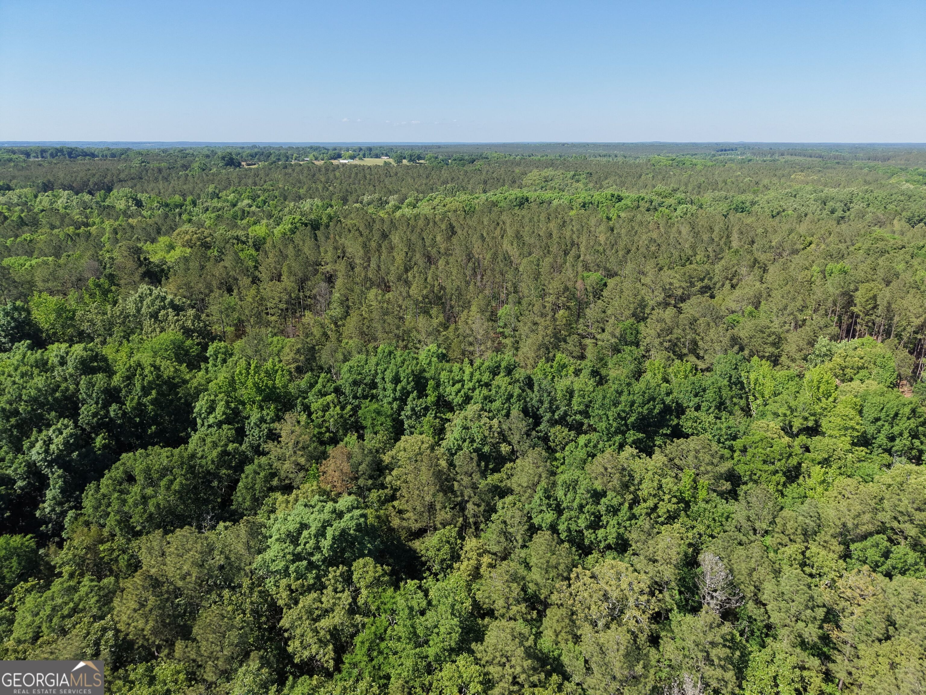 580 Saggus Road Washington, GA 30673 - Photo 13 of 54