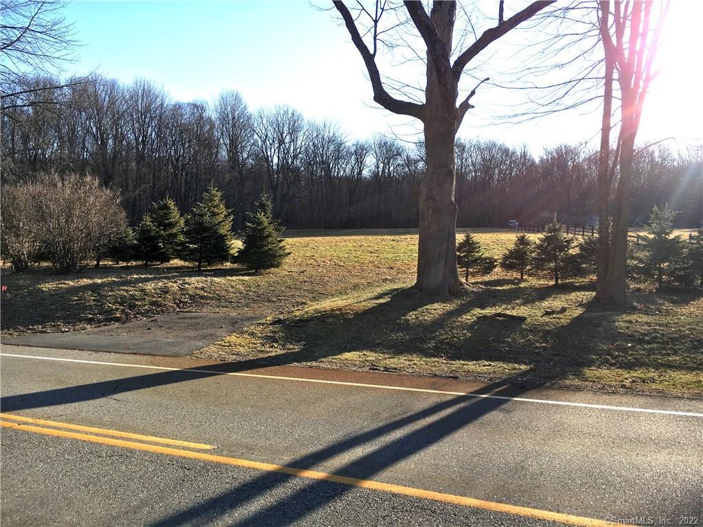 Entrance to property bordered with pines and sugar maples.