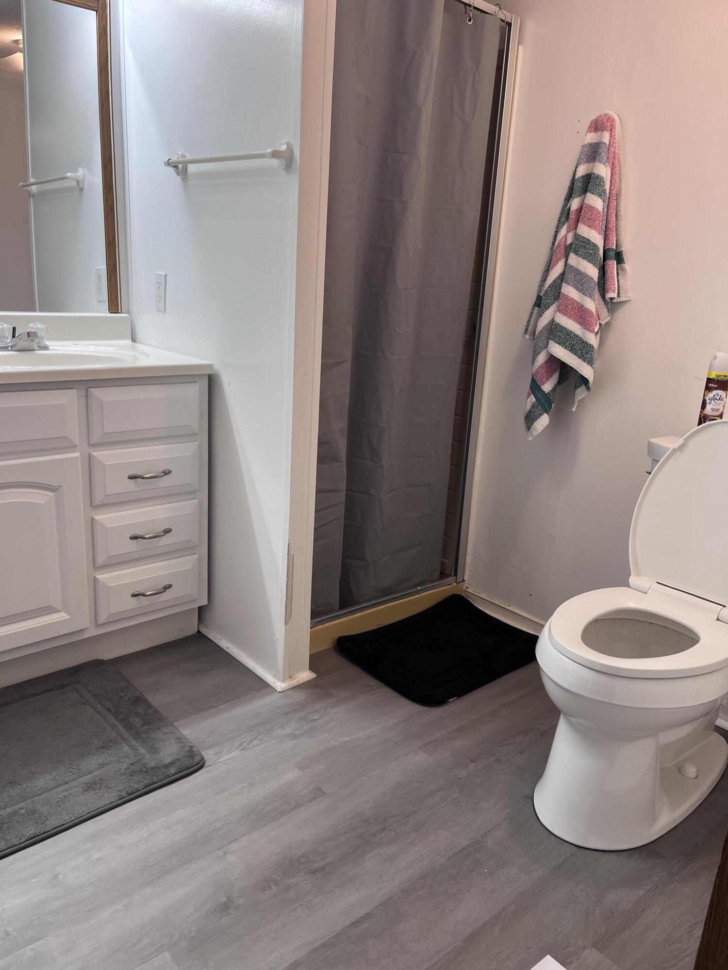1923 Redwood Road Southeast Roanoke, VA 24014 - Photo 27 of 31 a view of bathroom with a toilet a sink and a mirror