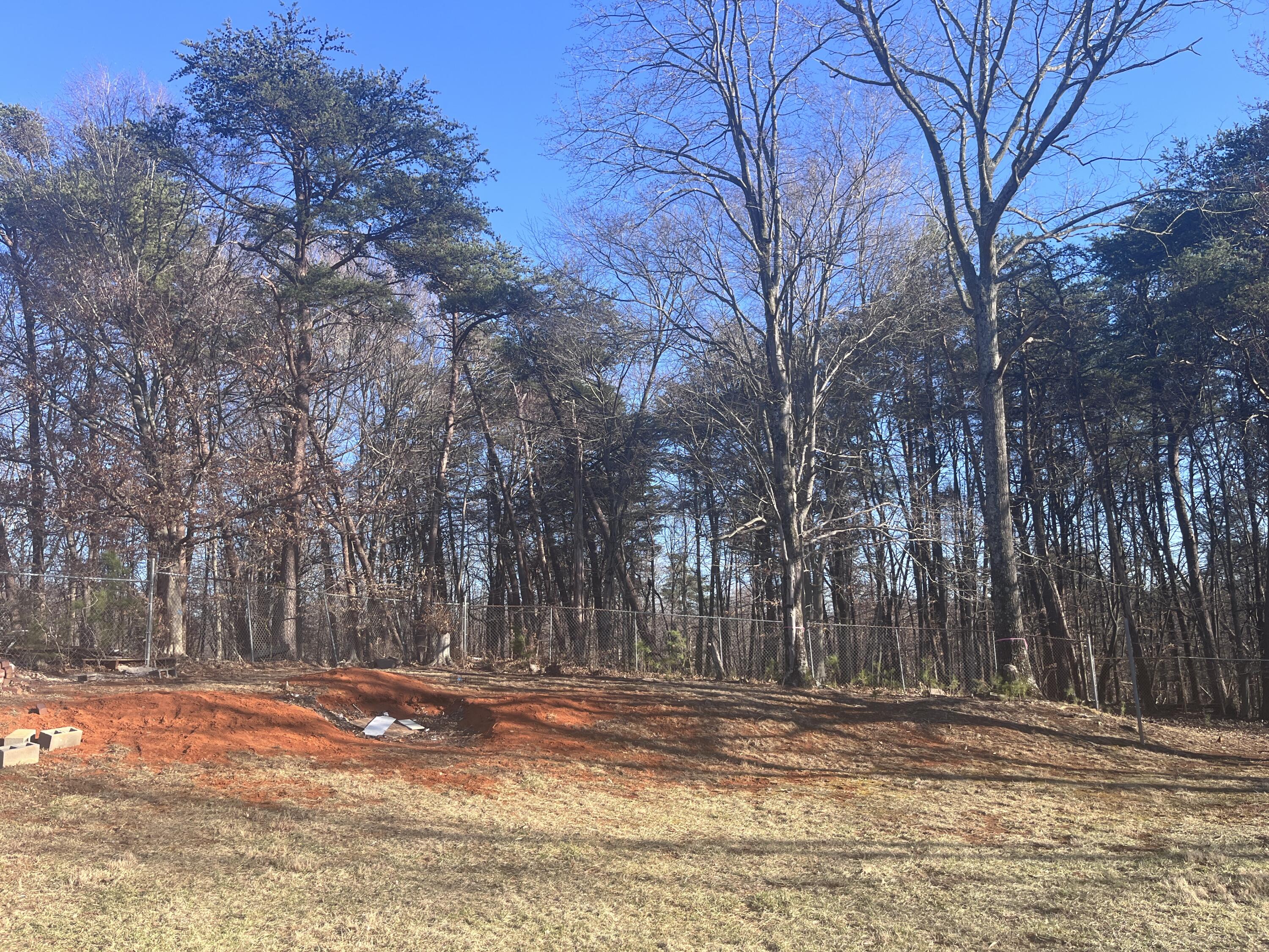 1923 Redwood Road Southeast Roanoke, VA 24014 - Photo 6 of 31 a view of a yard on a road