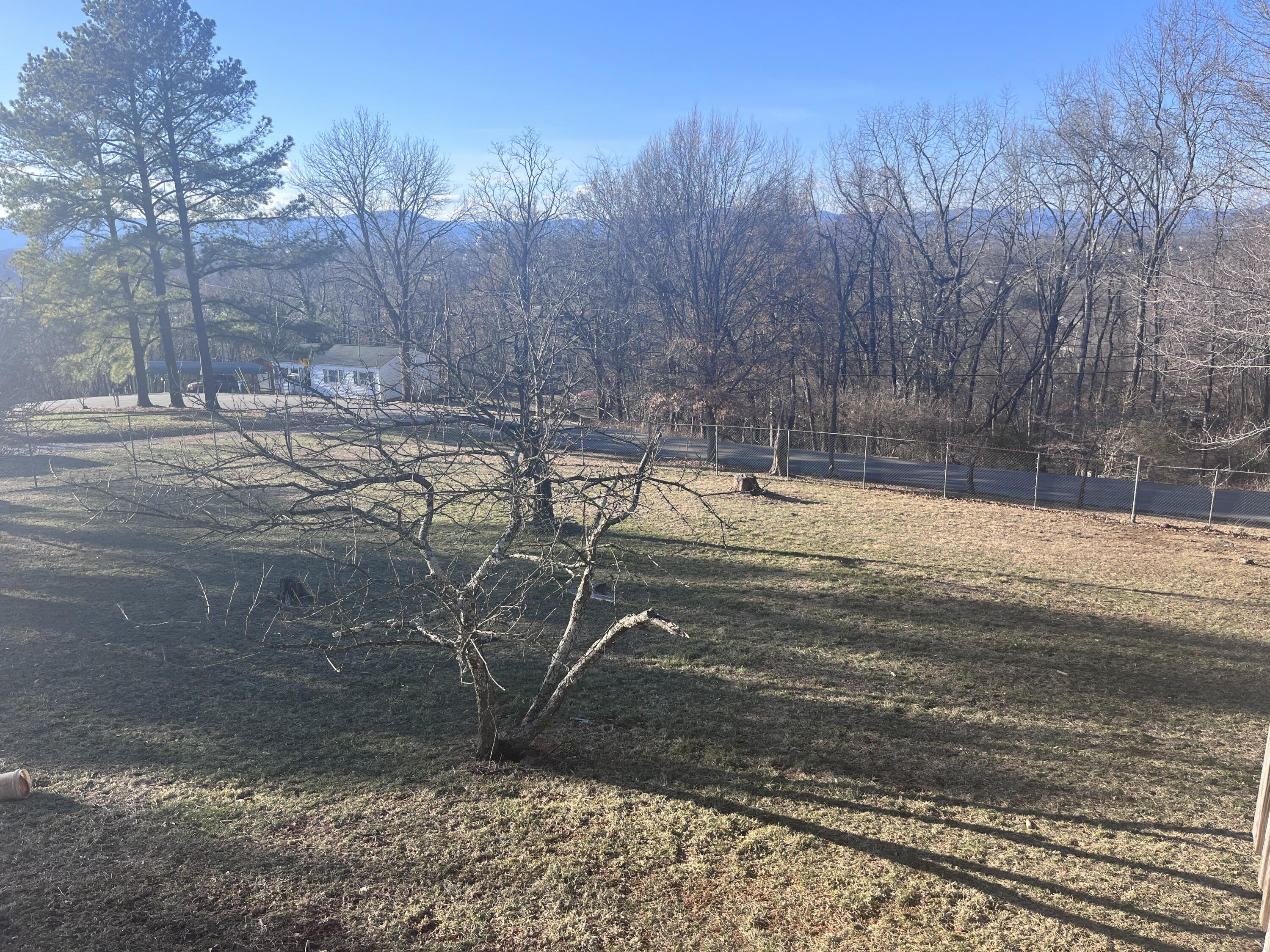 1923 Redwood Road Southeast Roanoke, VA 24014 - Photo 8 of 31 a view of a yard with trees