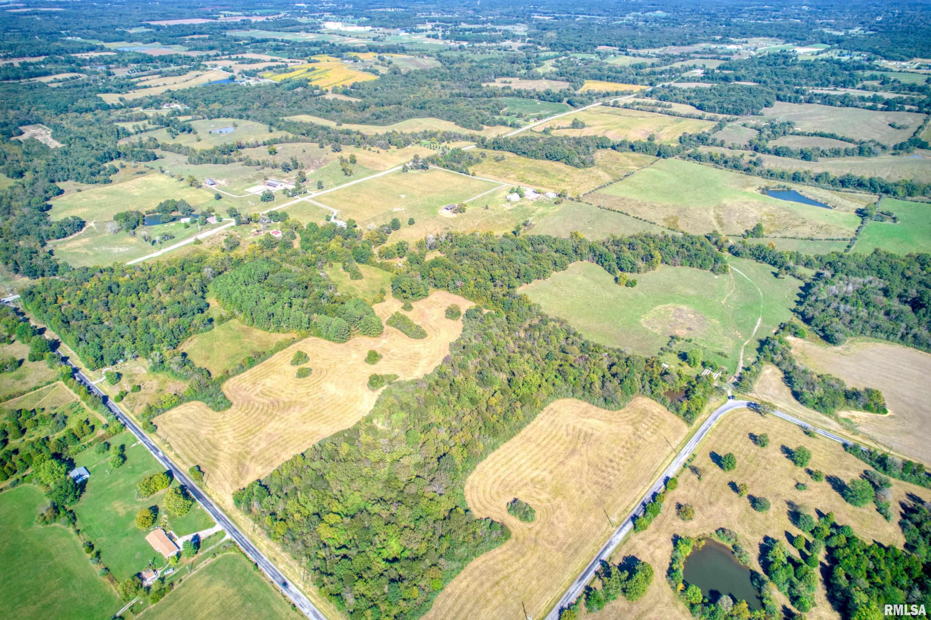 0 Cobb Hill Road Creal Springs, IL 62922 - Photo 12 of 17