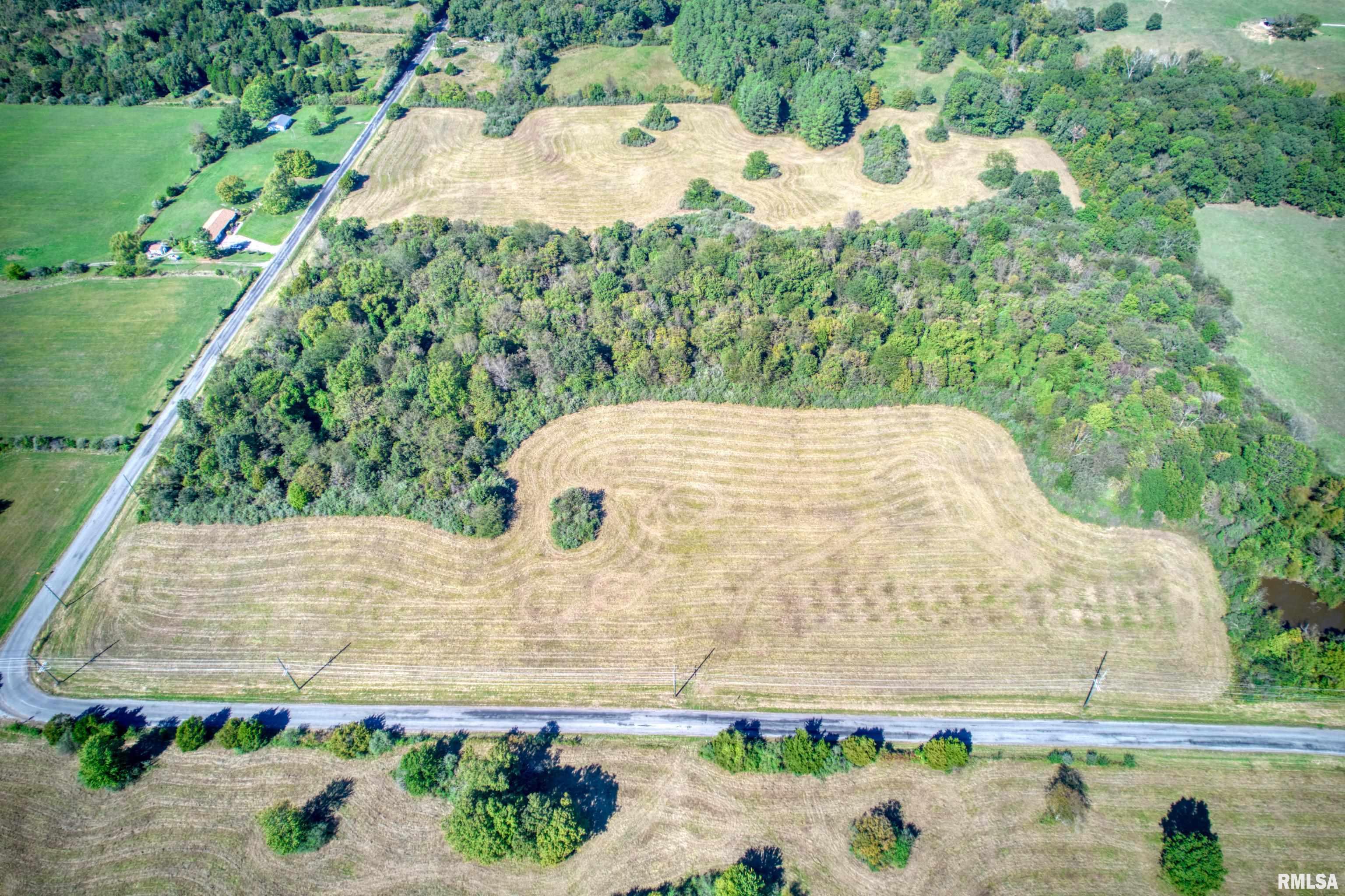 0 Cobb Hill Road Creal Springs, IL 62922 - Photo 3 of 17