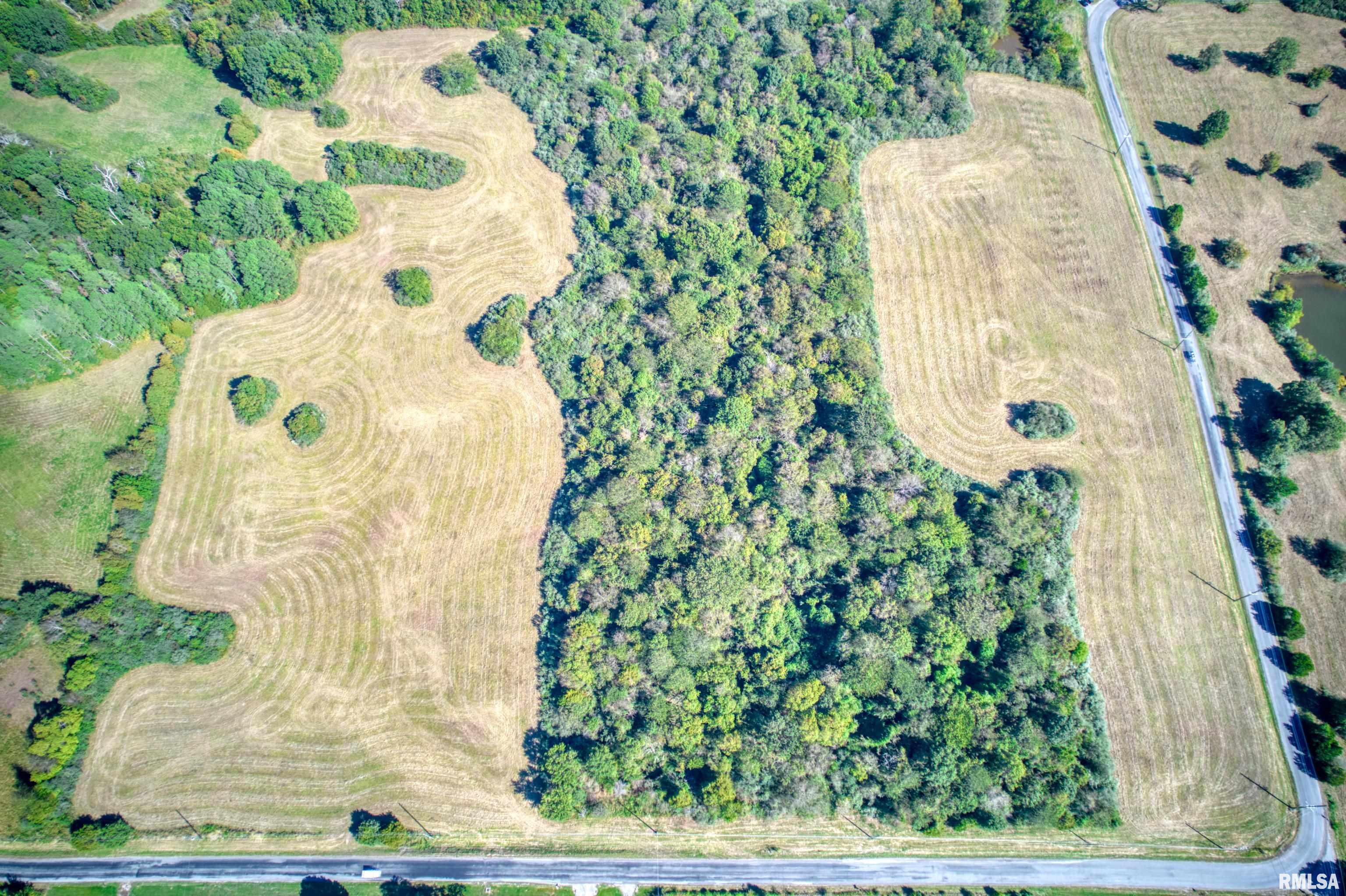 0 Cobb Hill Road Creal Springs, IL 62922 - Photo 5 of 17