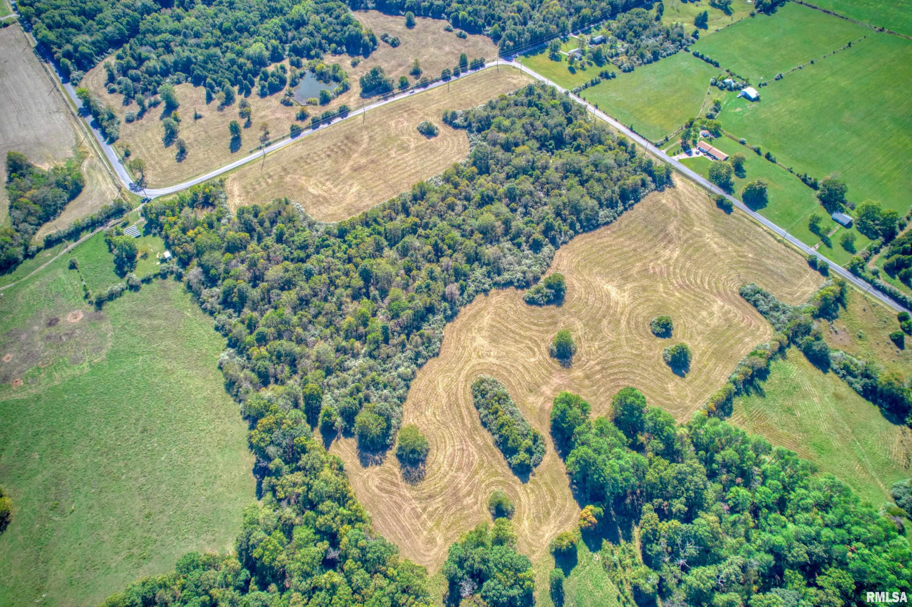 0 Cobb Hill Road Creal Springs, IL 62922 - Photo 7 of 17