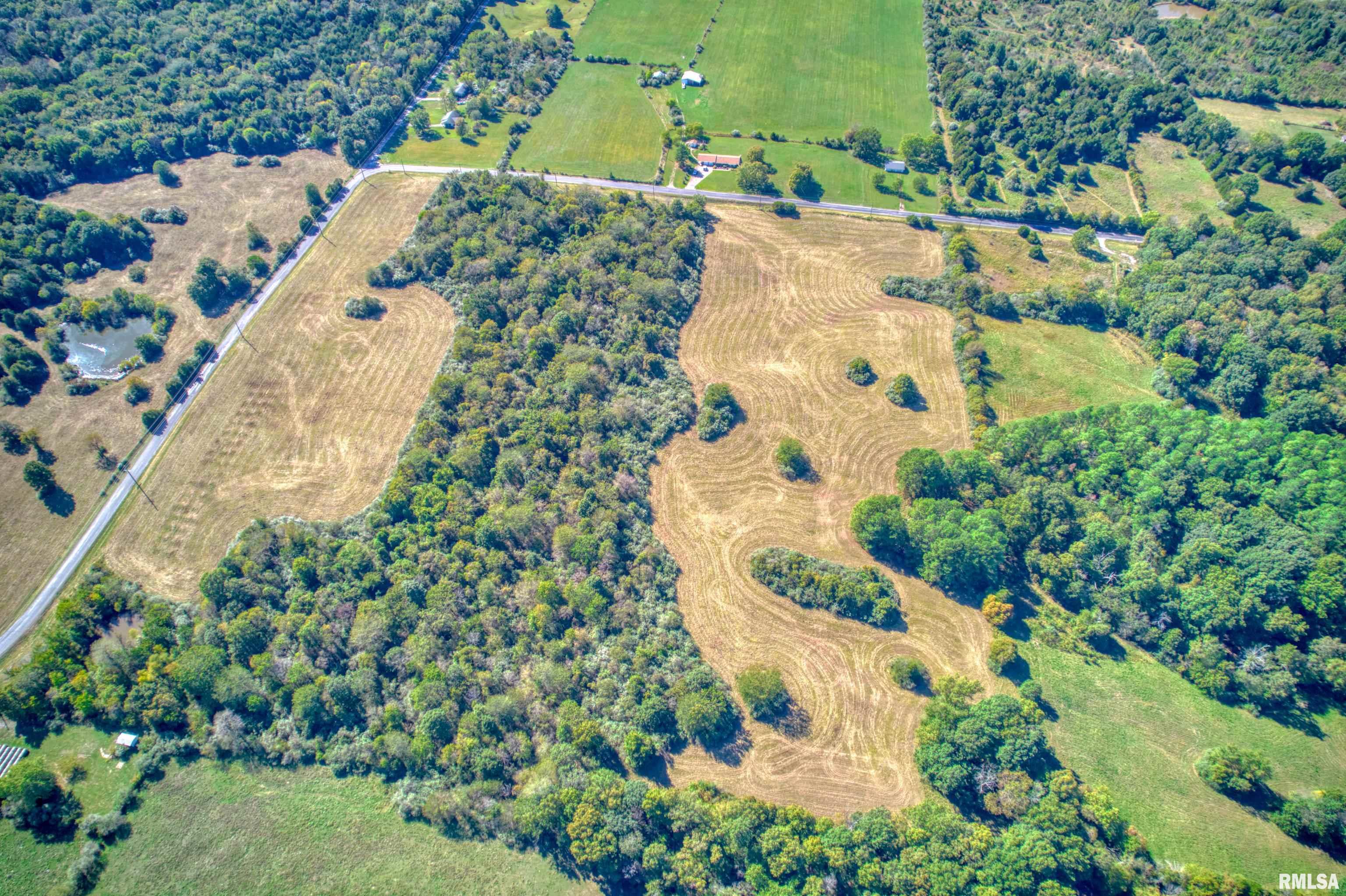 0 Cobb Hill Road Creal Springs, IL 62922 - Photo 8 of 17