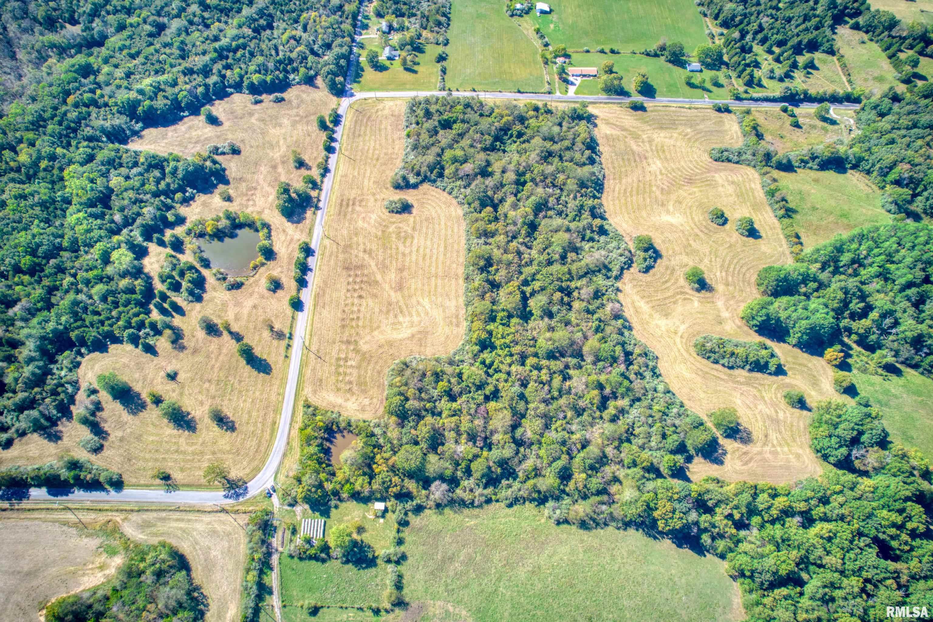 0 Cobb Hill Road Creal Springs, IL 62922 - Photo 10 of 17