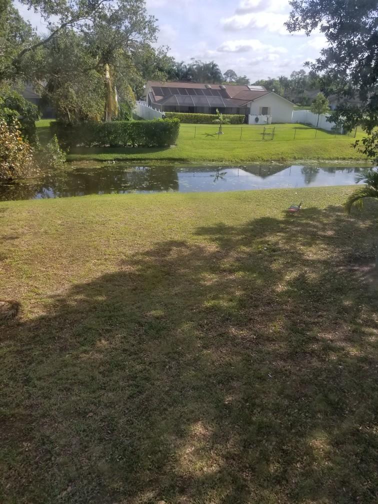 1031 Goldenrod Road Wellington, FL 33414 - Photo 18 of 41 20180411_101615-756x1008