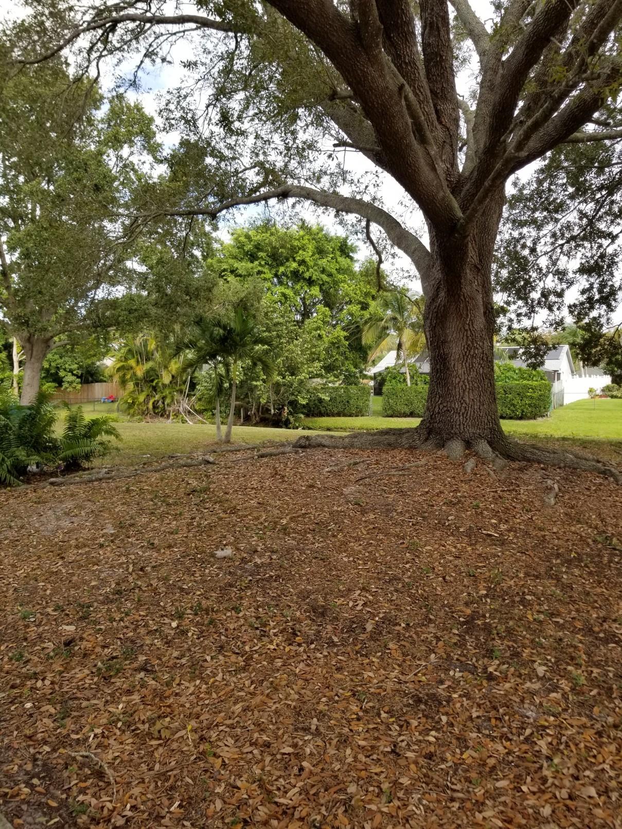 1031 Goldenrod Road Wellington, FL 33414 - Photo 7 of 41 20181201_110454-1209x1612