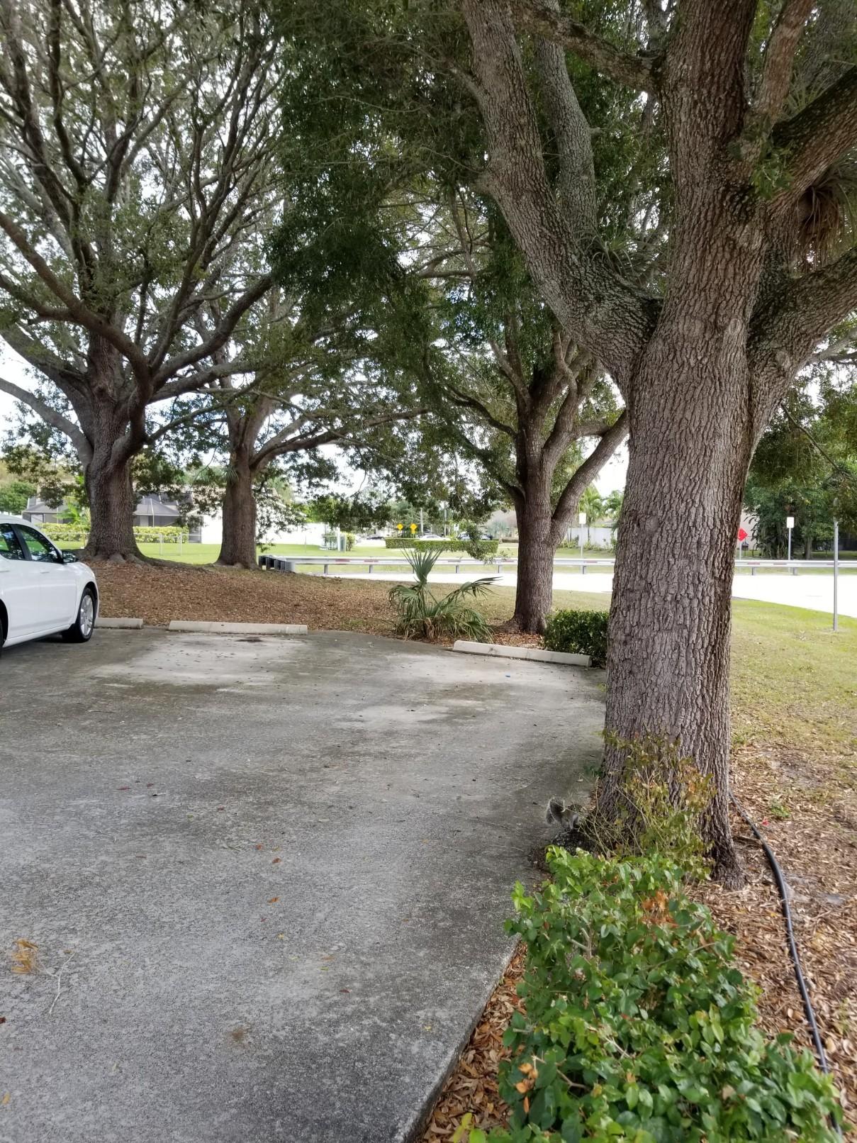 1031 Goldenrod Road Wellington, FL 33414 - Photo 8 of 41 20181201_110441-1209x1612