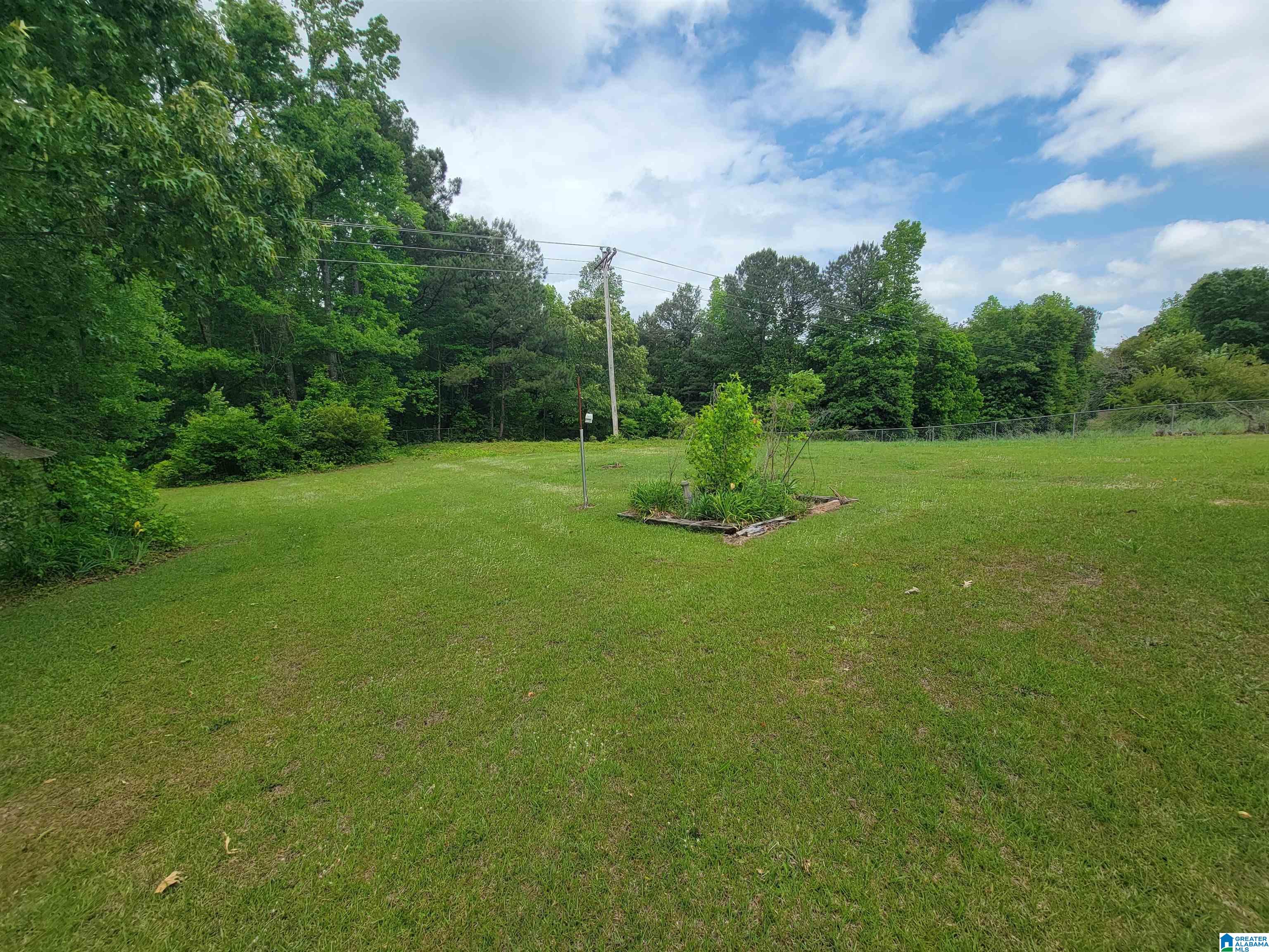 715 Rock Mills Road Roanoke, AL 36274 - Photo 33 of 35