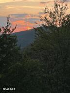 0 Little Vly Road Portage, PA 15946 - Photo 4 of 11
