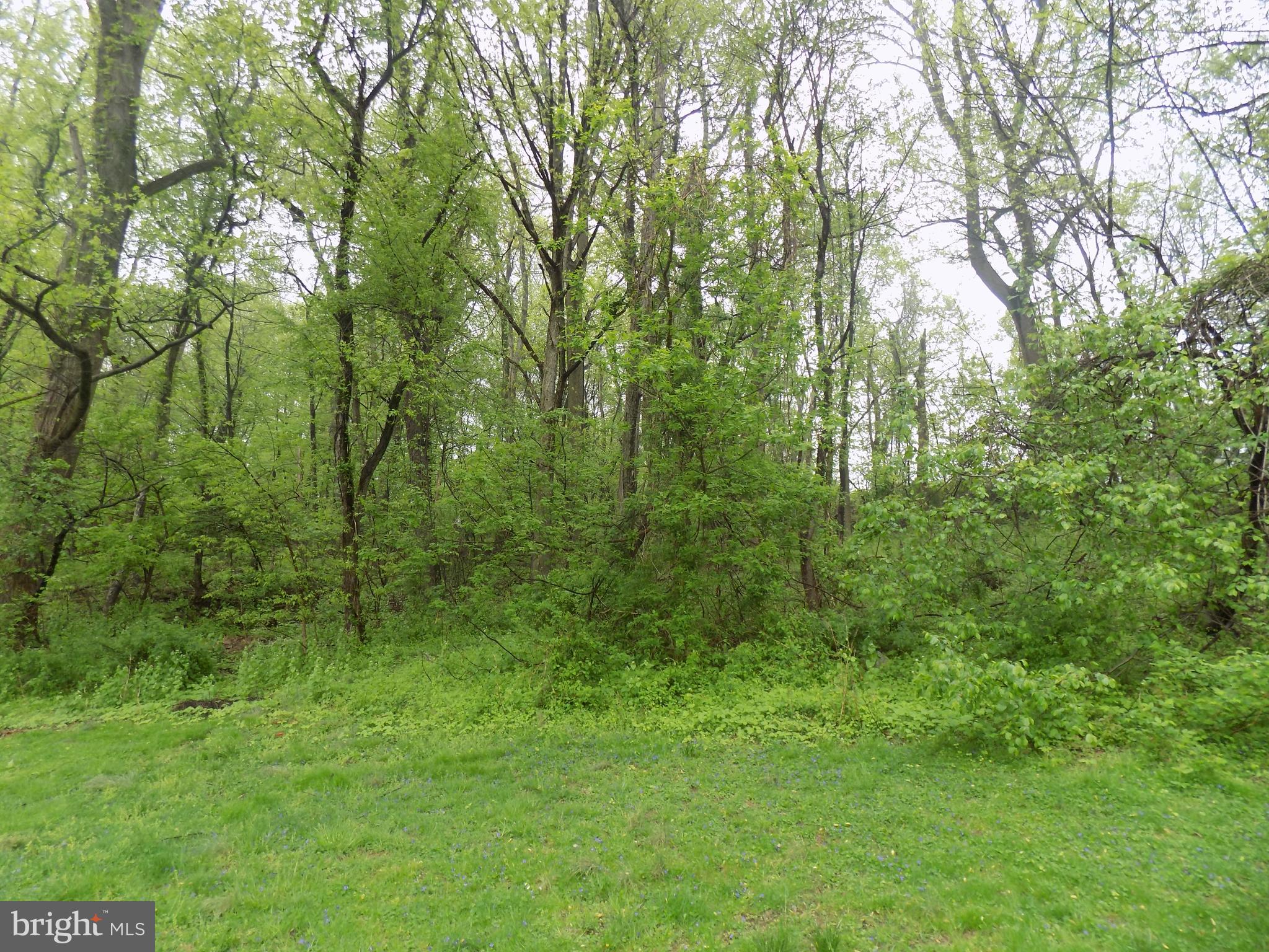 402 Bridge Valley Road Pequea, PA 17565 - Photo 34 of 35