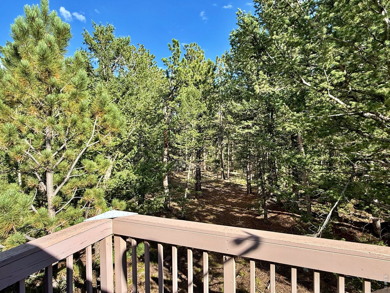 6687 Overland Road Ward, CO 80481 - Photo 33 of 35 Gallery Image 33