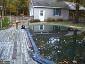 22088 Reynolds Pond Road Ellendale, DE 19941 - Photo 3 of 3 Gallery Image 3