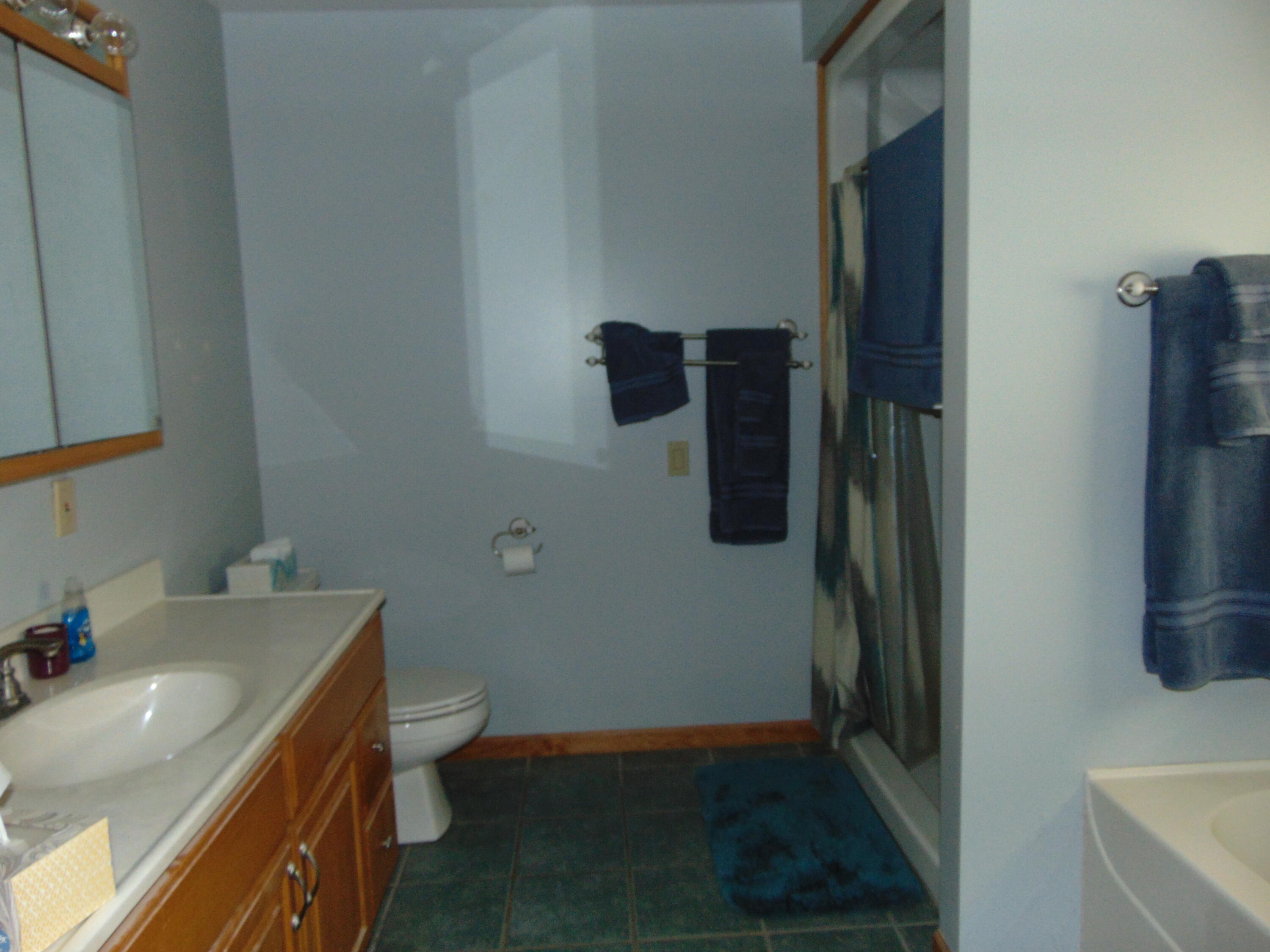 1595 South Poor Farm Road Mikado, MI 48745 - Photo 43 of 78 DSC05290