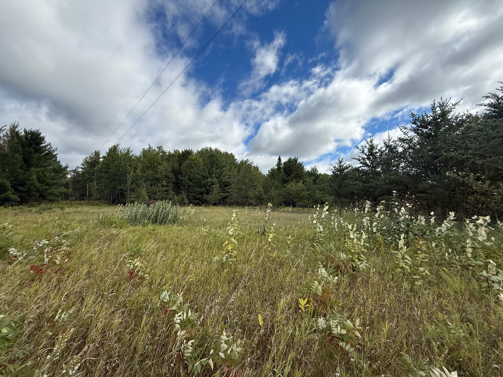 Tbd 159th Street Bagley, MN 56621 - Photo 3 of 5 Gallery Image 3