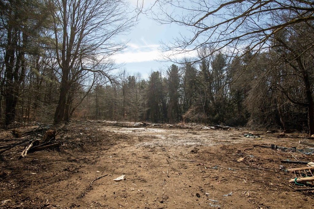 115 Lyon Hill Road Chester, MA 01011 - Photo 19 of 19 a view of a yard with trees