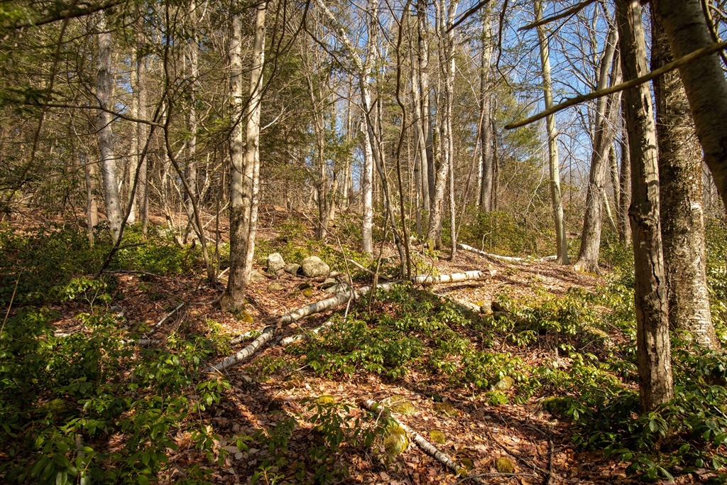 115 Lyon Hill Road Chester, MA 01011 - Photo 5 of 19