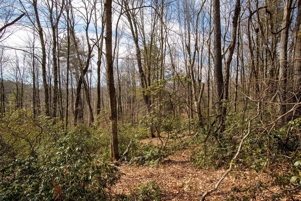 115 Lyon Hill Road Chester, MA 01011 - Photo 7 of 19