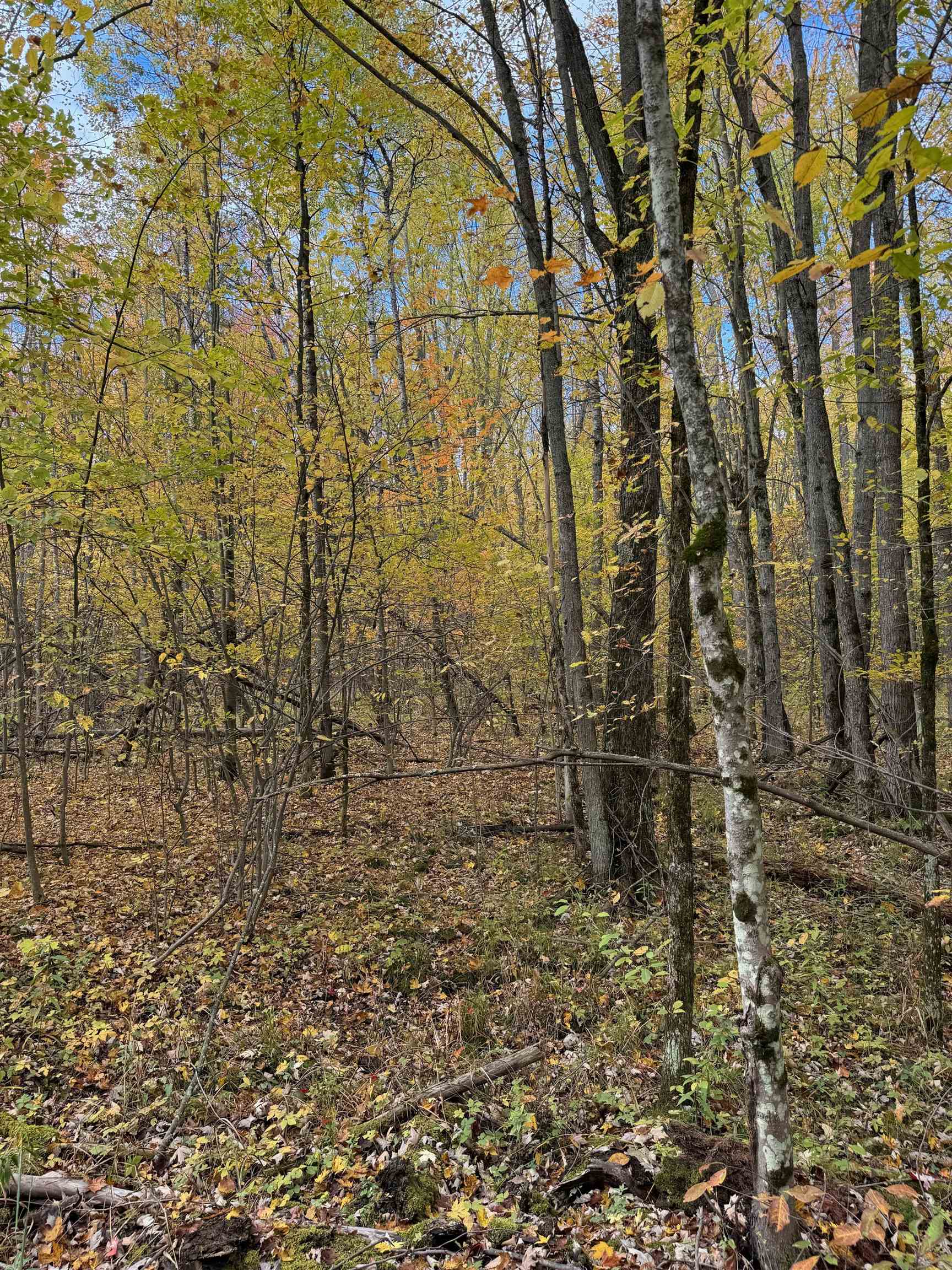0 Thurman Road Thompsonville, MI 49683 - Photo 52 of 52