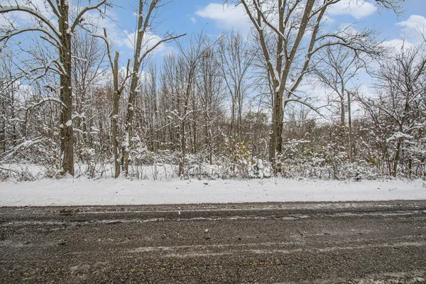 $39,995 | 17285 Williamsville Street, Cassopolis, MI 49031