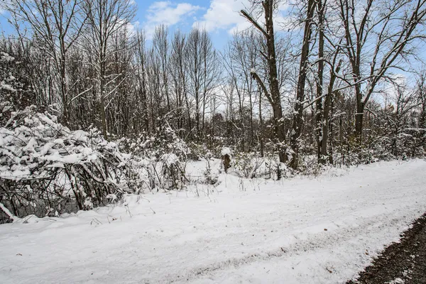 $39,995 | 17285 Williamsville Street, Cassopolis, MI 49031