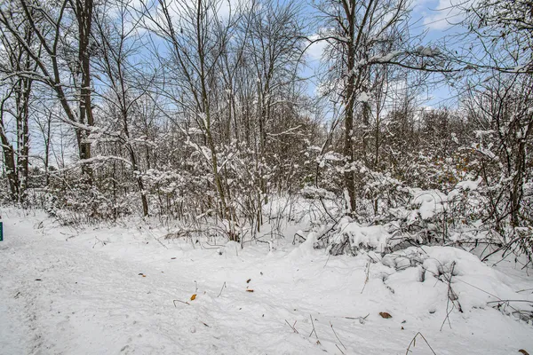 $39,995 | 17285 Williamsville Street, Cassopolis, MI 49031