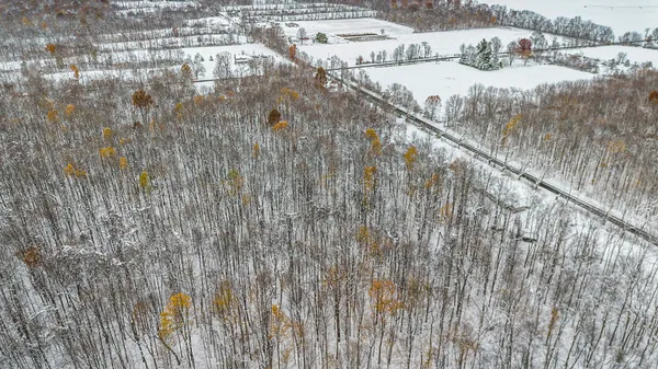 $39,995 | 17285 Williamsville Street, Cassopolis, MI 49031