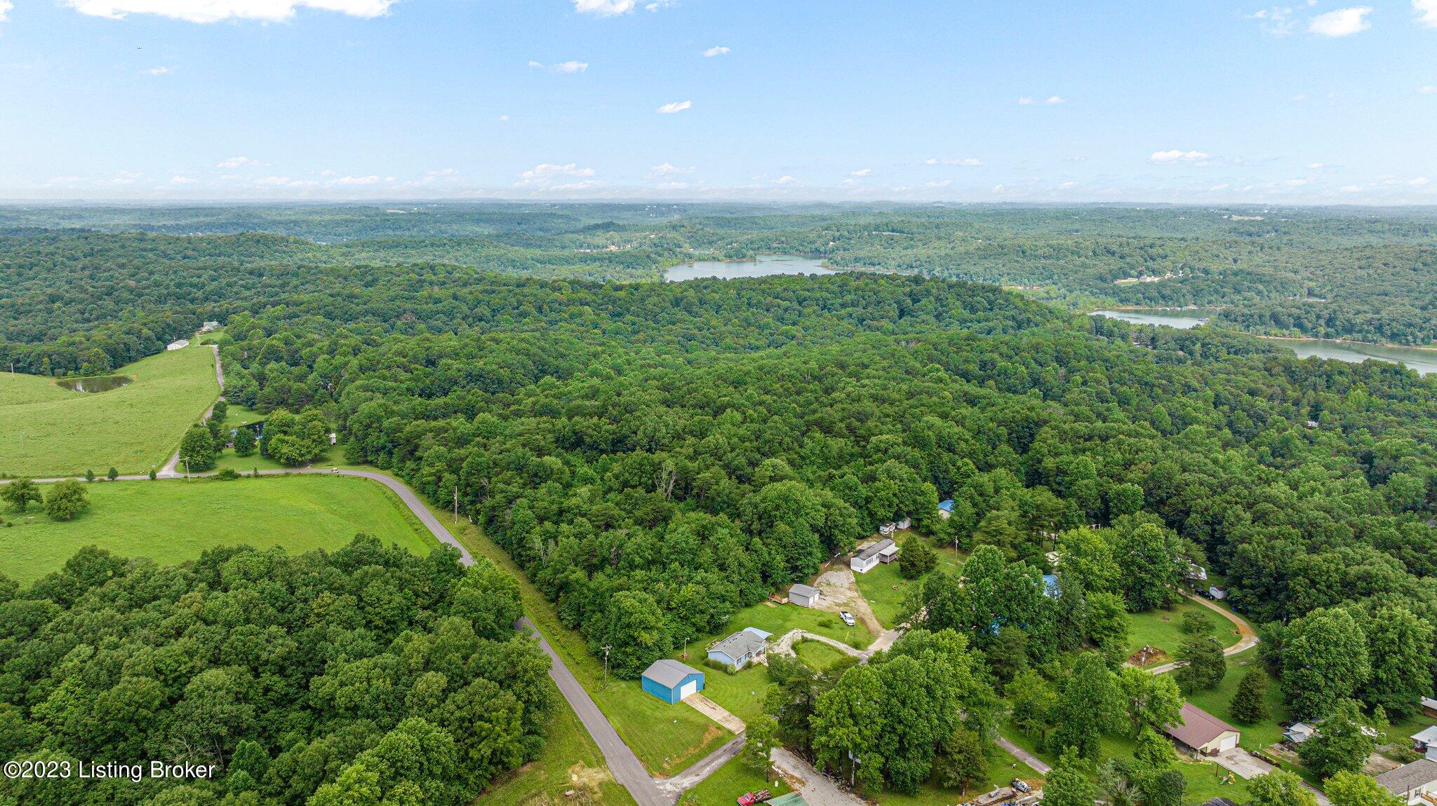 790 Long Fall Road Cub Run, KY 42729 - Photo 24 of 29 9-web-or-mls-DJI_0560