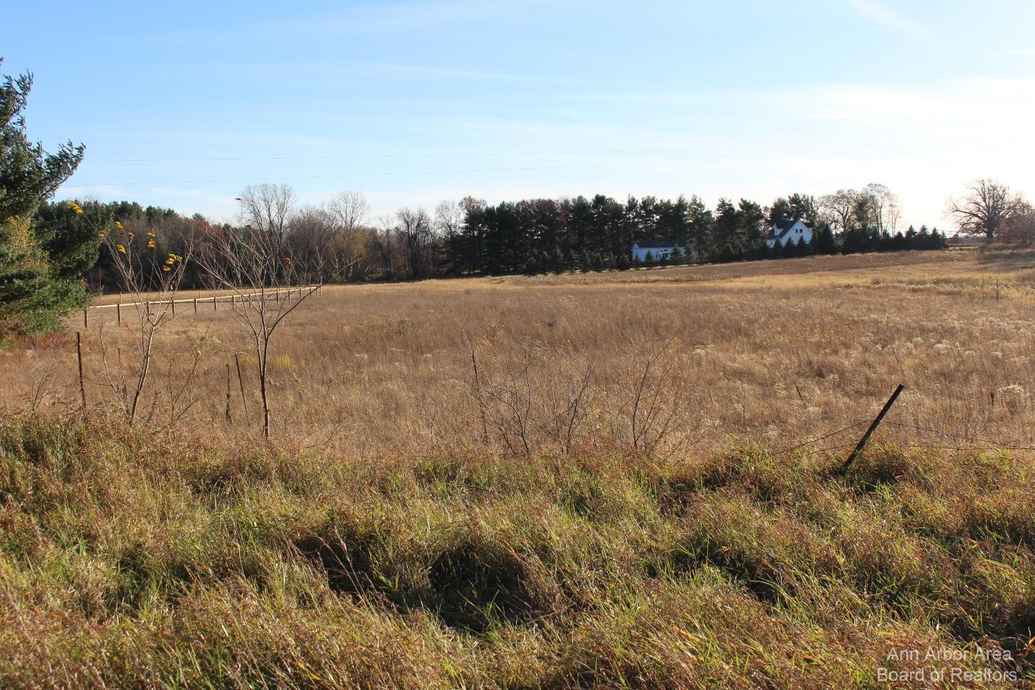 0 Curtis Road Grass Lake, MI 49240 - Photo 1 of 1 Photo 1