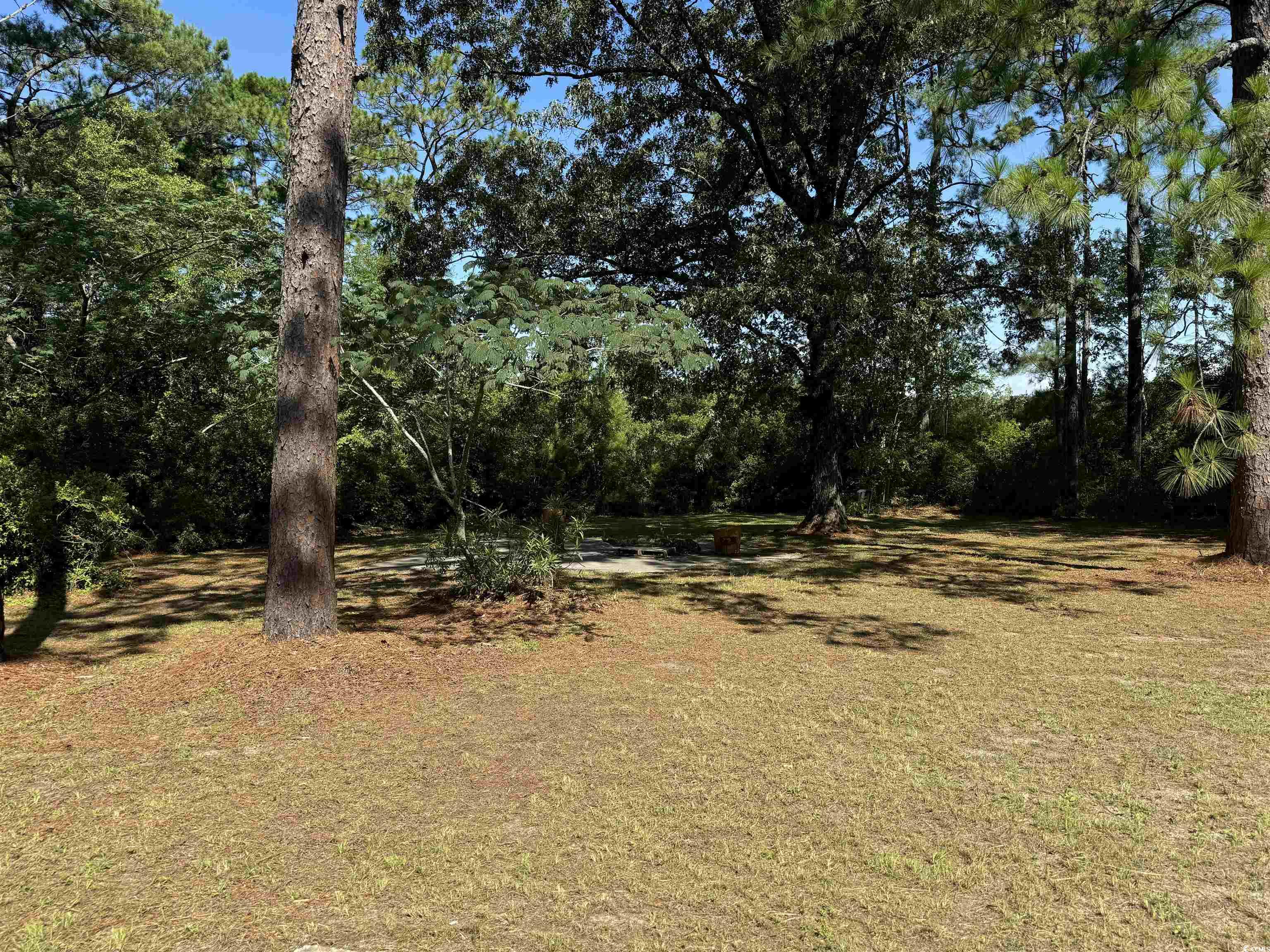 2628 Old Charleston Road Georgetown, SC 29440 - Photo 11 of 13