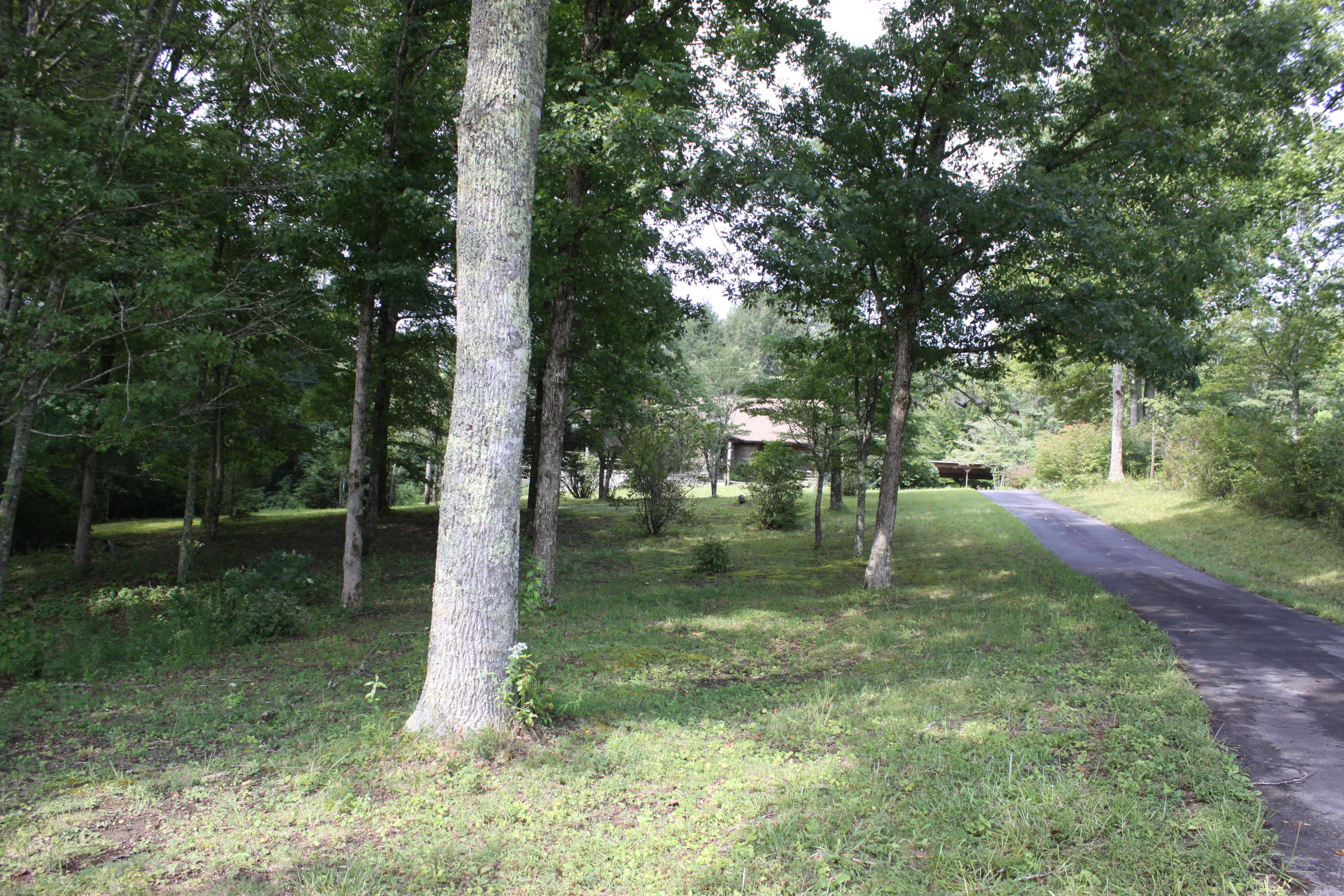 1495 Old Bean Shed Road Clarkrange, TN 38553 - Photo 6 of 40 IMG_3930