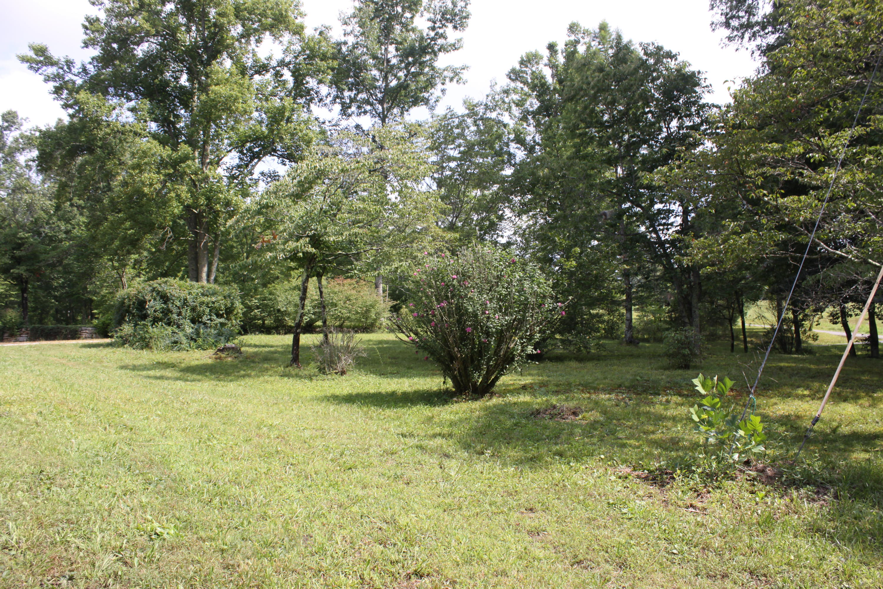 1495 Old Bean Shed Road Clarkrange, TN 38553 - Photo 9 of 40 IMG_3948