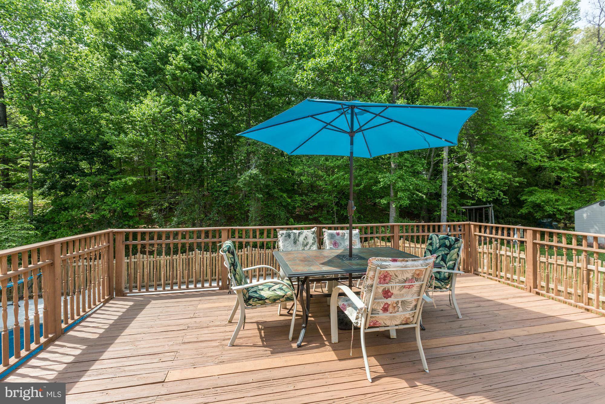 8524 Innisfree Drive Springfield, VA 22153 - Photo 13 of 30 This is where the party begins...