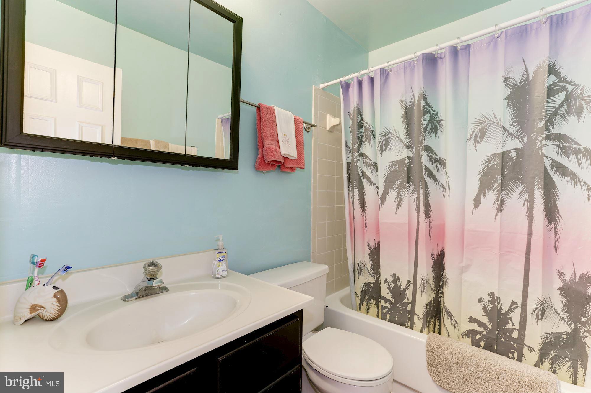 8524 Innisfree Drive Springfield, VA 22153 - Photo 21 of 30 Updated Hall Bath