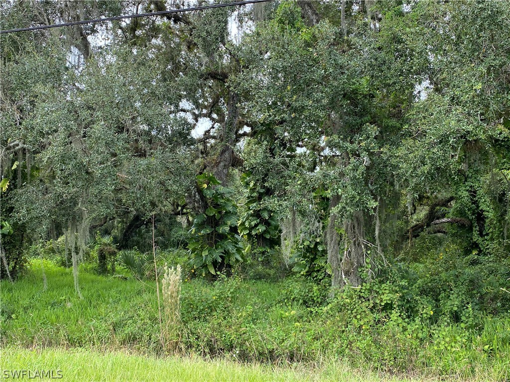 29 North State Road LaBelle, FL 33935 - Photo 2 of 8 a view of a lush green forest