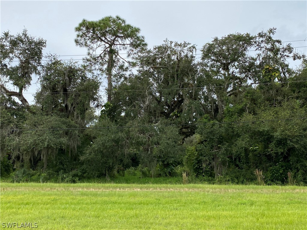 29 North State Road LaBelle, FL 33935 - Photo 3 of 8 a view of a green yard