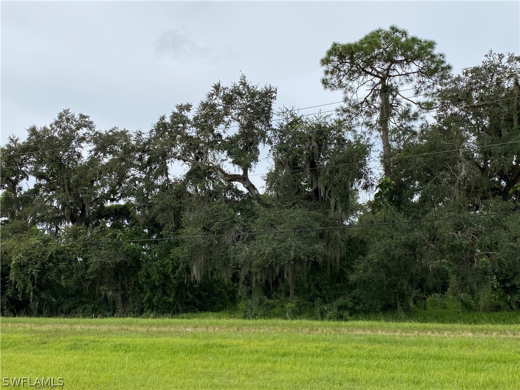 29 North State Road LaBelle, FL 33935 - Photo 4 of 8 a view of a grassy field