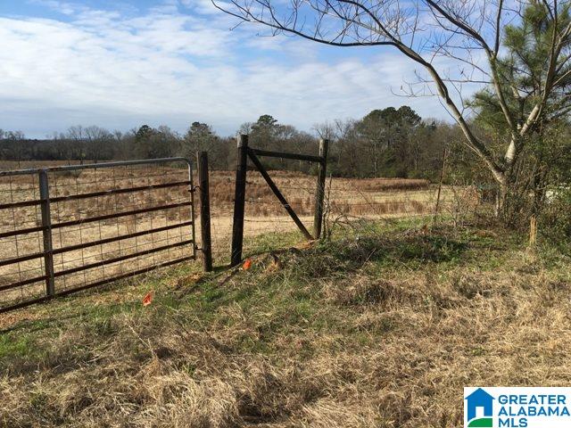 0 County Road 235, Unit 1 Alpine, AL 35014 - Photo 8 of 12