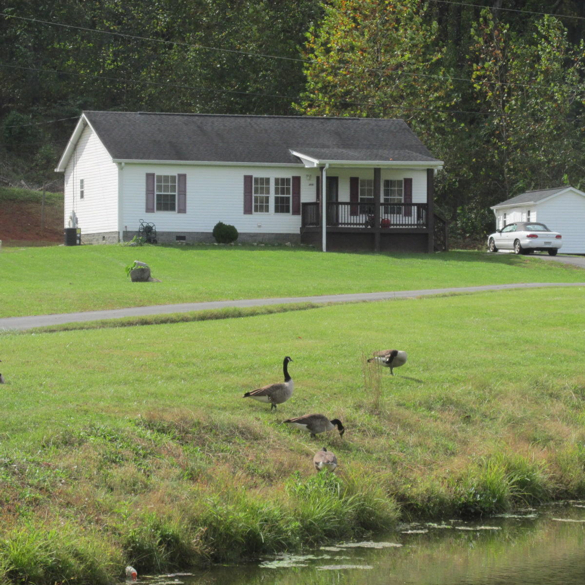 2643 Rutrough Road Southeast Roanoke, VA 24014 - Photo 1 of 32 a front view of a house with a yard and trees