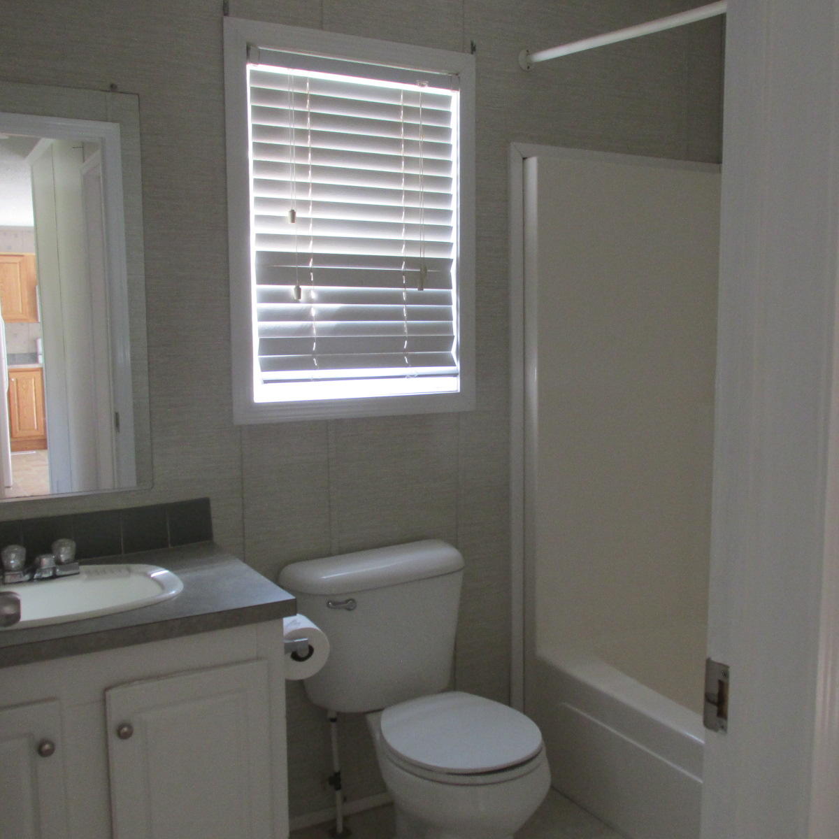 2643 Rutrough Road Southeast Roanoke, VA 24014 - Photo 27 of 32 a bathroom with a sink a toilet and shower